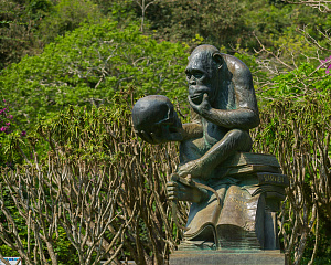 Nanwan Monkey Island Ecotourism Area