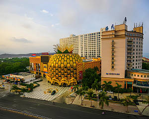 Big Pineapple Mall