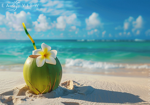 Sanya's Stunning Bays: Your Essential Guide