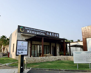 Zhenshen (Center of Chinese Medicine, Yalong Bay)