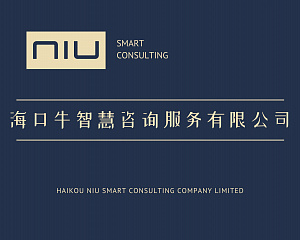 Haikou Niu Smart Consulting Co., Ltd. 