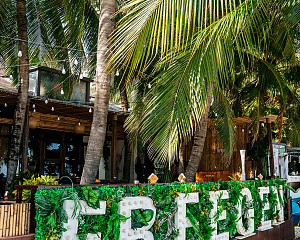 FreeGen Beach Bar