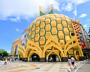 Big Pineapple Mall
