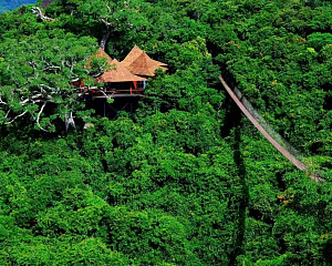 Yalong Bay Tropical Paradise Forest Park