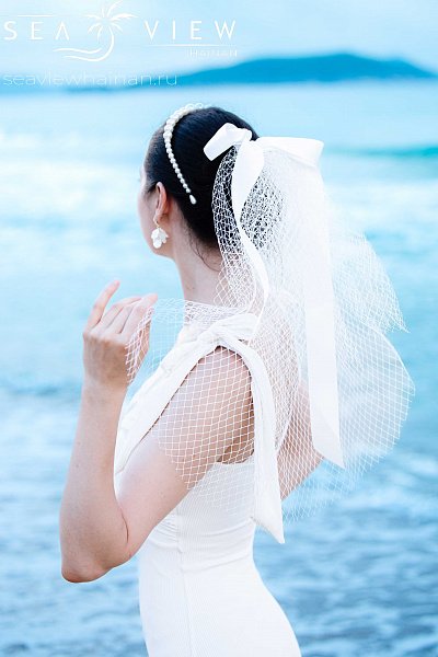 Veil on a hairpin